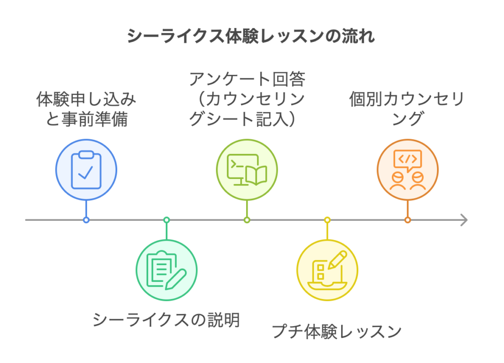 シーライクス体験レッスンの流れ